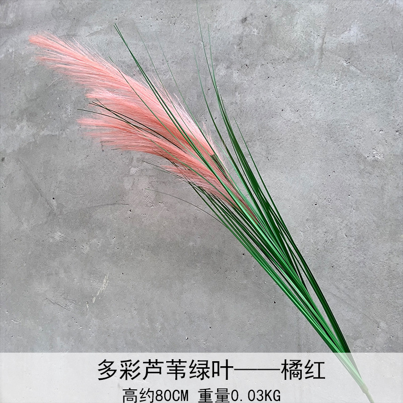 Caña hierba simulación de flores Cai Guoqiang Fuegos artificiales Caña Fuegos artificiales diurnos Fuegos artificiales diurnos Caña Fuegos artificiales