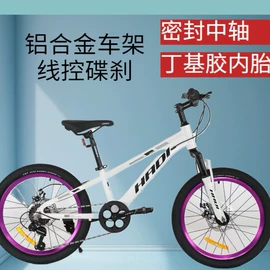 山地自行车;自行车;自行车轮胎