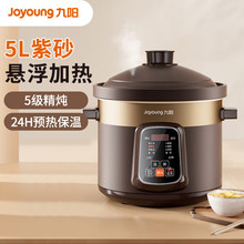 Joyoung/九阳 DGD50-05AK电炖锅预约养生紫砂电炖盅全自动大容量