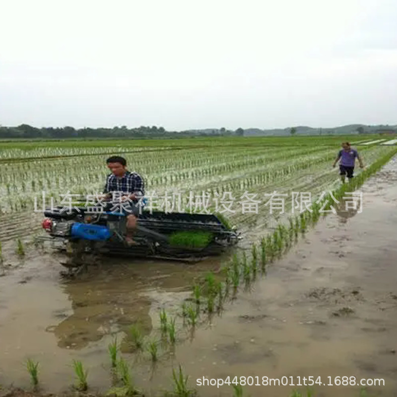 全自动手扶款汽油栽苗机 操作简单自走式水稻插秧机高效