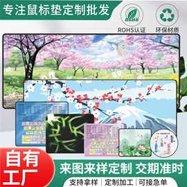 鼠标垫卡通萌宠网吧游戏键盘图片定制超大耐脏电脑快捷键桌垫定做