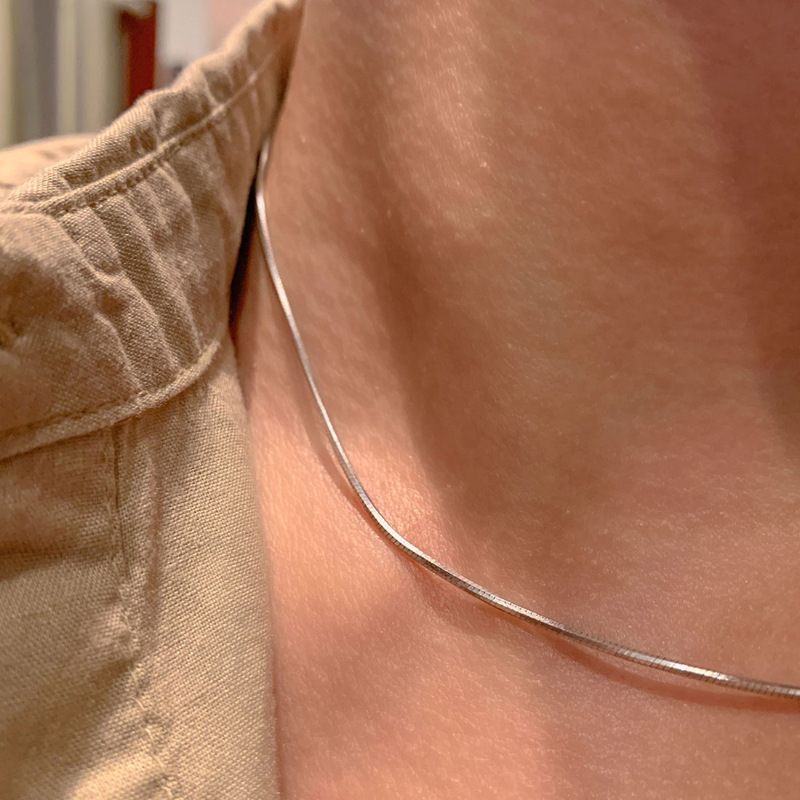 Vintage Snake Bone Necklace Minimalist Chain For Men And Women_voghion.com