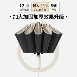 雨伞;晴雨伞;遮阳/太阳伞