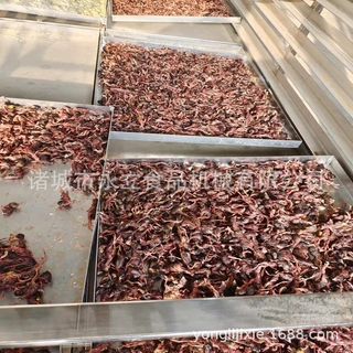 宠物食品冻干机器 盐渍海参真空冷冻干燥设备 燕窝冻干脱水线大型