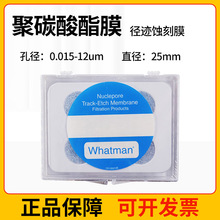 whatman��������̼����Nuclepore����ʴ��PC��Ĥ ��ˮ ֱ��25mm