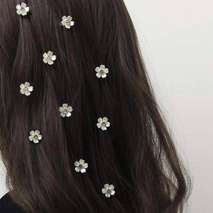 �羳�����Ʒ �r�б���DIY�ٰl�K�p�Ʒ�����ɫ���䎧荰l�۰l�h
