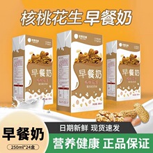 年货礼盒忠厚核桃花生早餐奶250ml*24盒学生老人牛奶饮品整箱