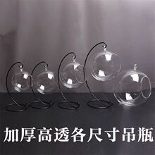 创意盆栽生态微景观玻璃瓶微观苔藓DIY高硼硅玻璃吊瓶透明瓶子