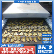 厂家供应小型水果烘干机 带式果蔬干燥机 水果片、菠萝片烘干机