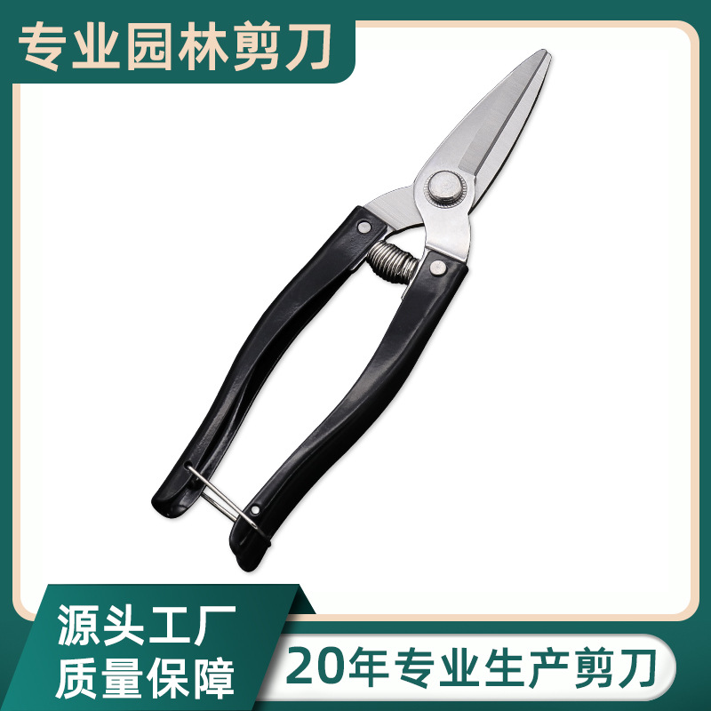 工厂批发剪果树修枝树枝剪刀剪花插花园艺剪刀黑色喷漆柄园林剪