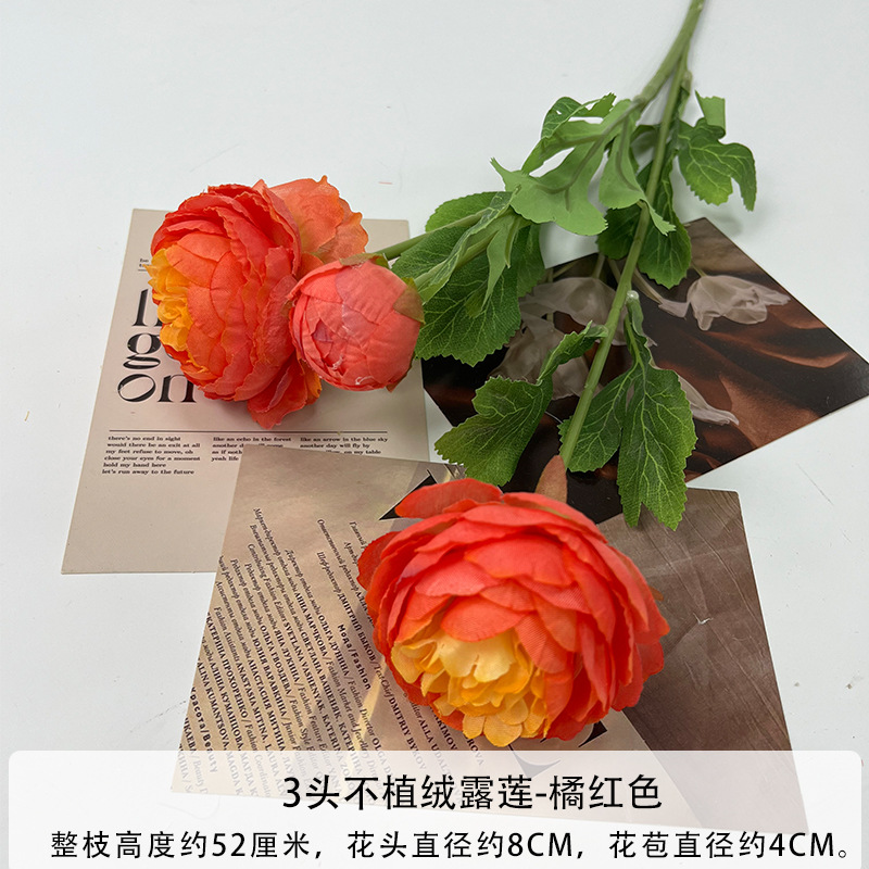 몰려들지 않는 오렌지 레드