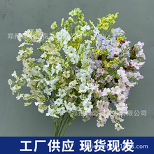 ����������@С�黨�Ƶ��Y�û��Ų廨�̈���Ӳ��õ�䁙����쾰