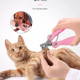 �����๦��ָ�׼���؈��؈������ƽ������;��ĥָ���޼�һ�w