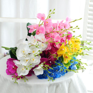 ��������m�ٻ�����С�m���Ҿ��bzӰ��������[���辰���~��