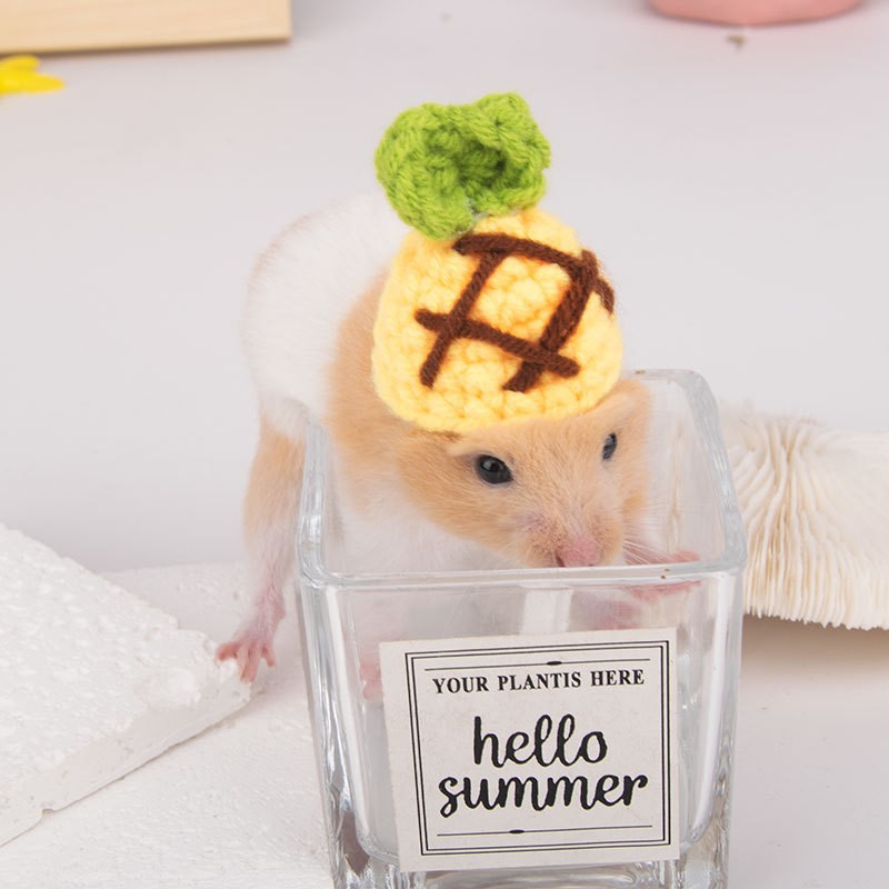 3. 파인애플 모자