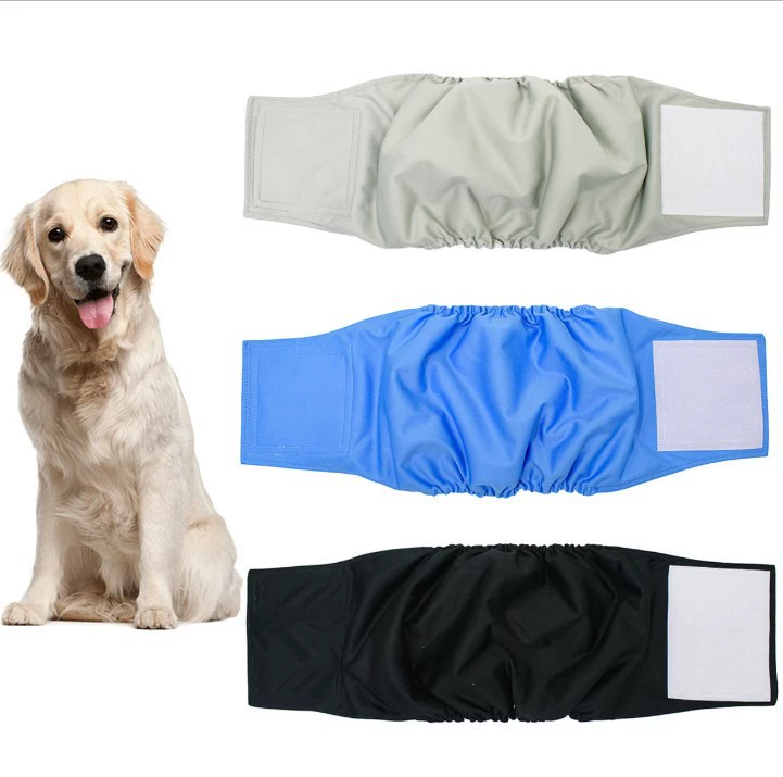 Фабрика спотовая продажа одежды для собак