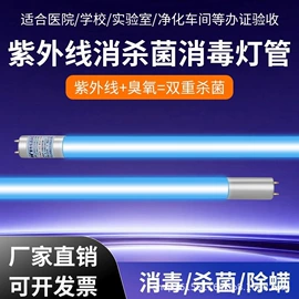 支架;杀菌灯管