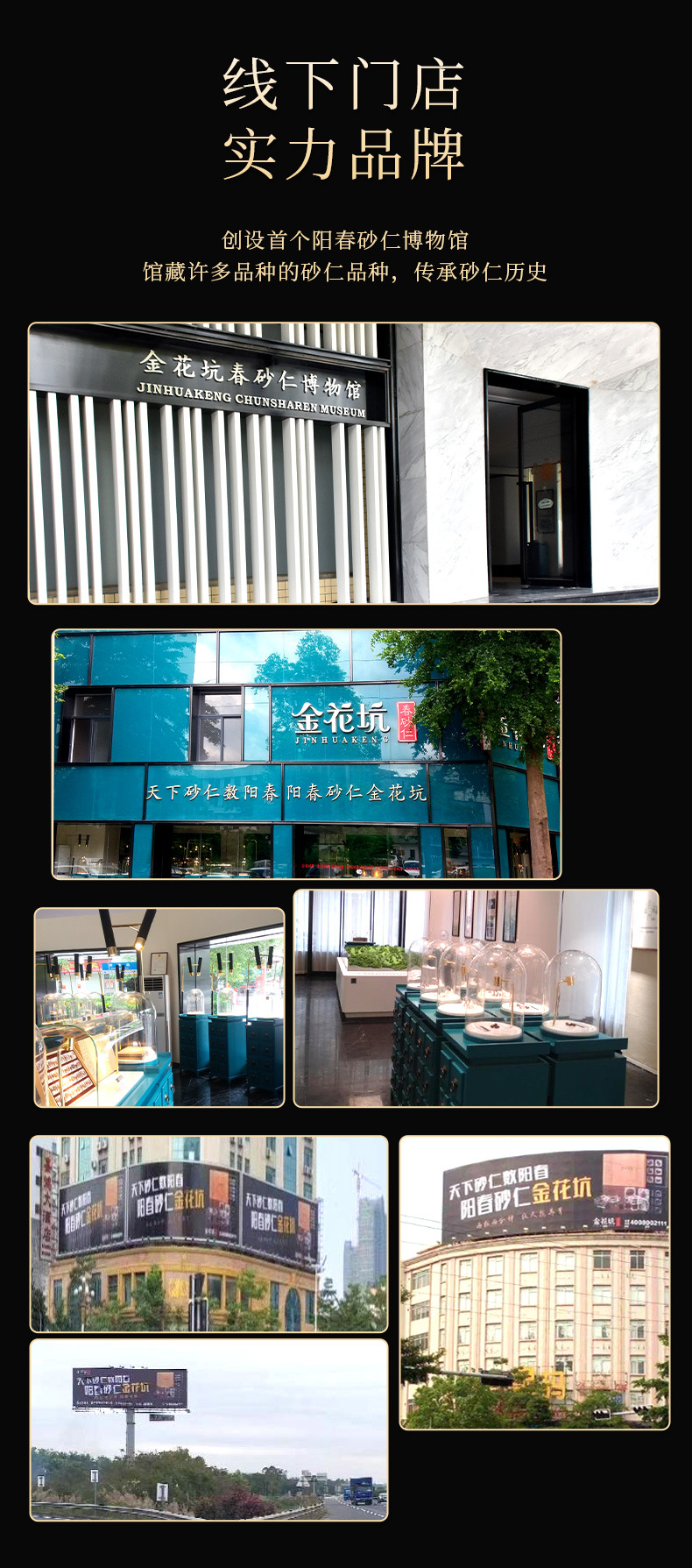 Chun Sha Ren Amomum Fruit 42g Yangchun Panlong Jinhua Keng Dao Di Sha Ren Traditional Herbal Gift in use
