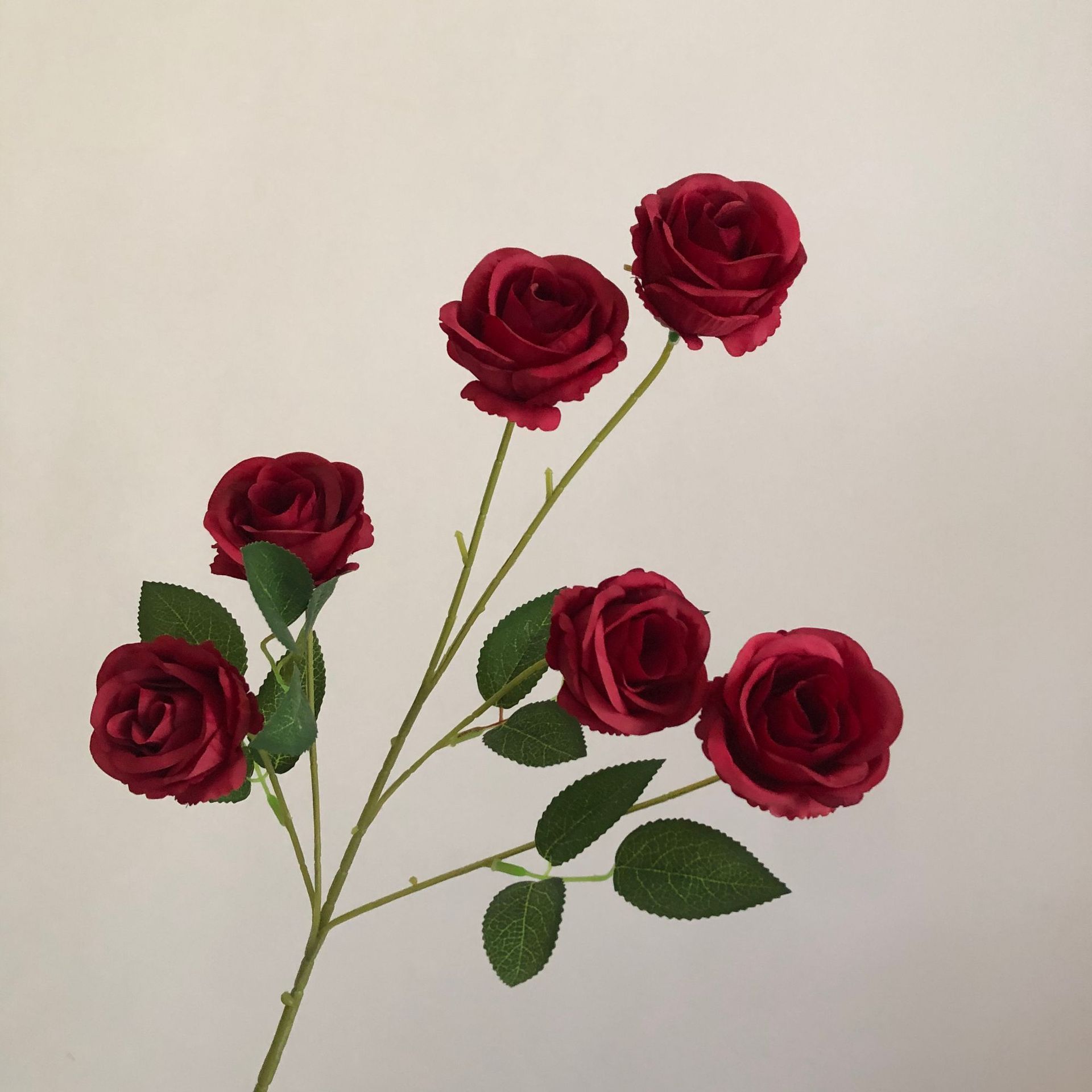와인 레드