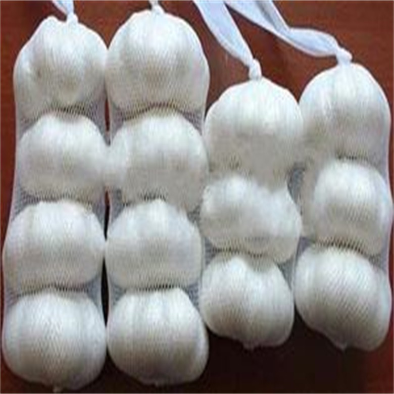 厂家定制FS-WJW65-1型单机头玫瑰花网挤出机生产线无结网设备