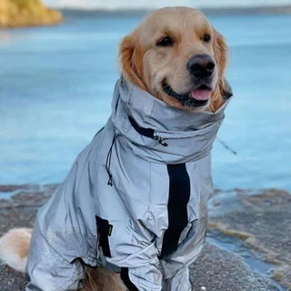 雨衣反光狗狗冲锋衣防水中大型犬金毛边牧萨摩外出狗狗反光衣服