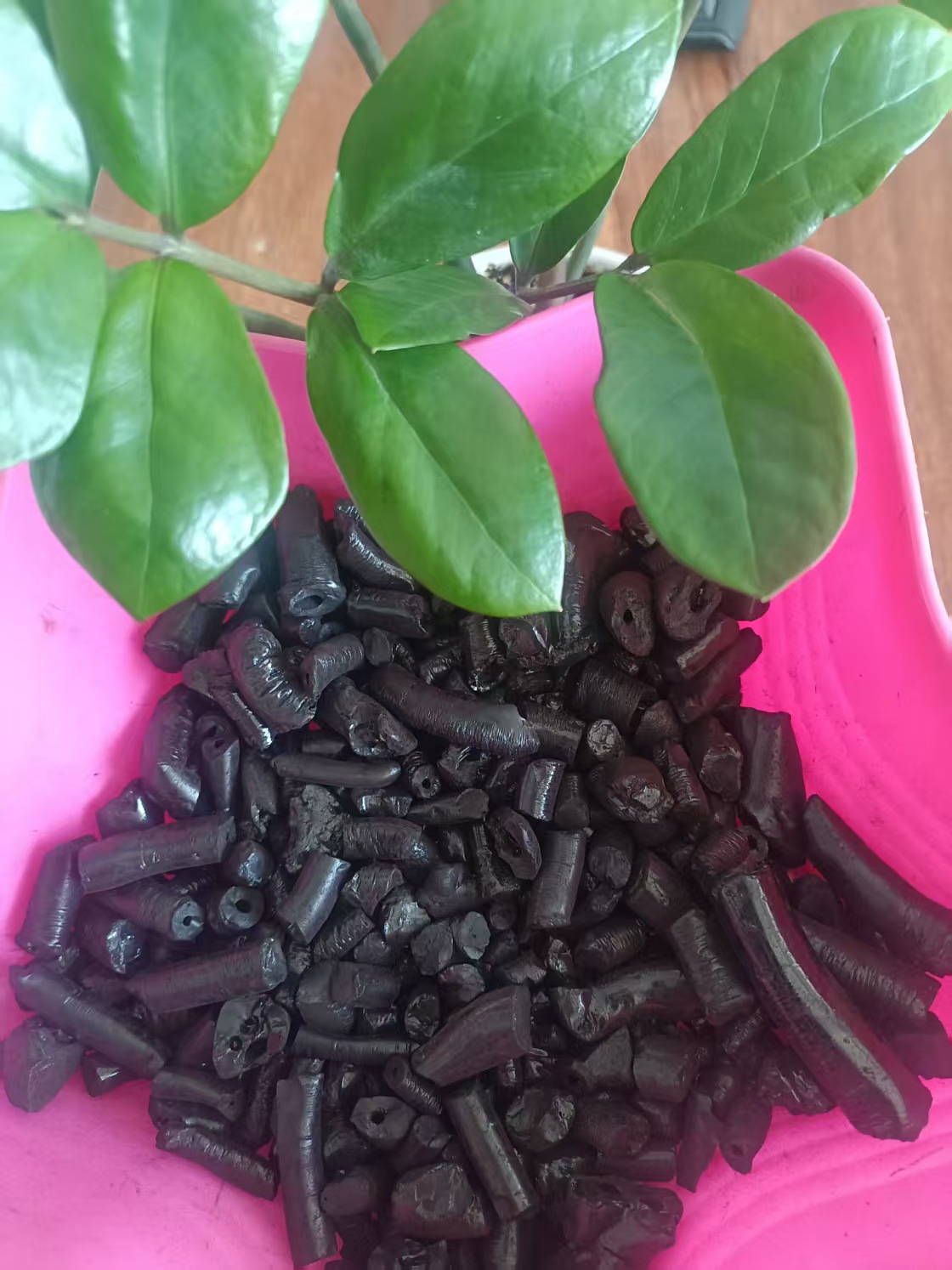 ae500d9d28f17b123288aa0bd15196