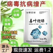 ���~ӭ�G���������b���I���t�������S�����Ѿ��~�S�~���~С�~���~