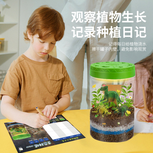 Learn from Yuma dinosaur landscaping ecological planting DIY scientific experiment canned light plant growth children's observation box