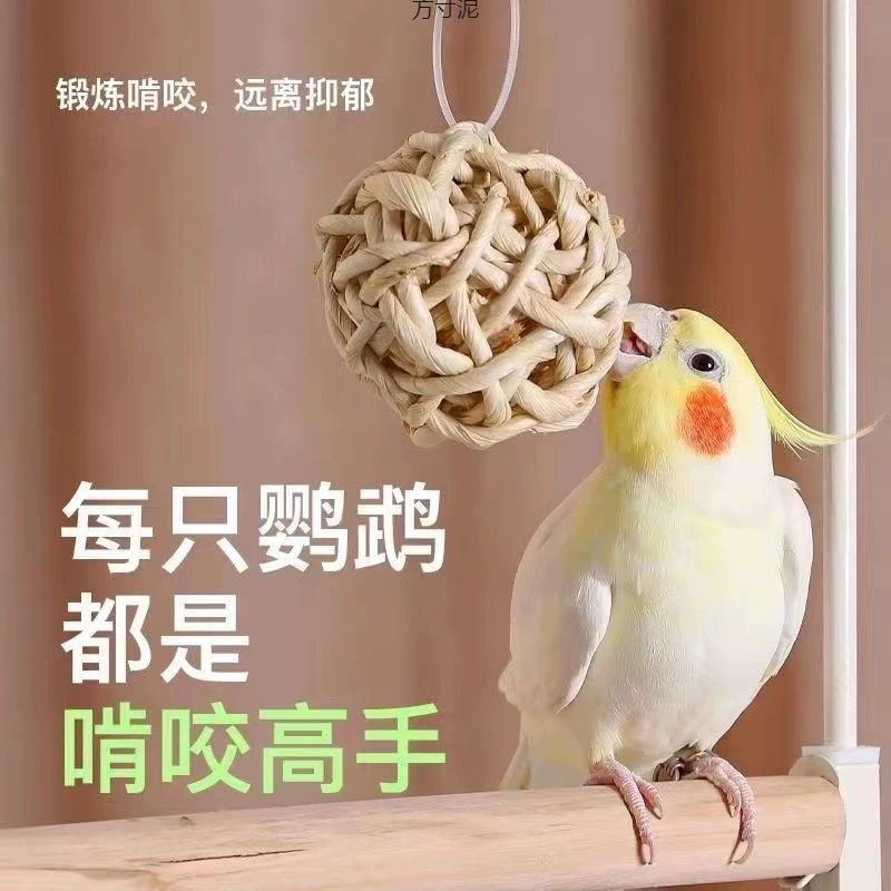 Птичья игрушка попугай ротокл IQ Тренировка кусает Кайчжи Сюаньфэн