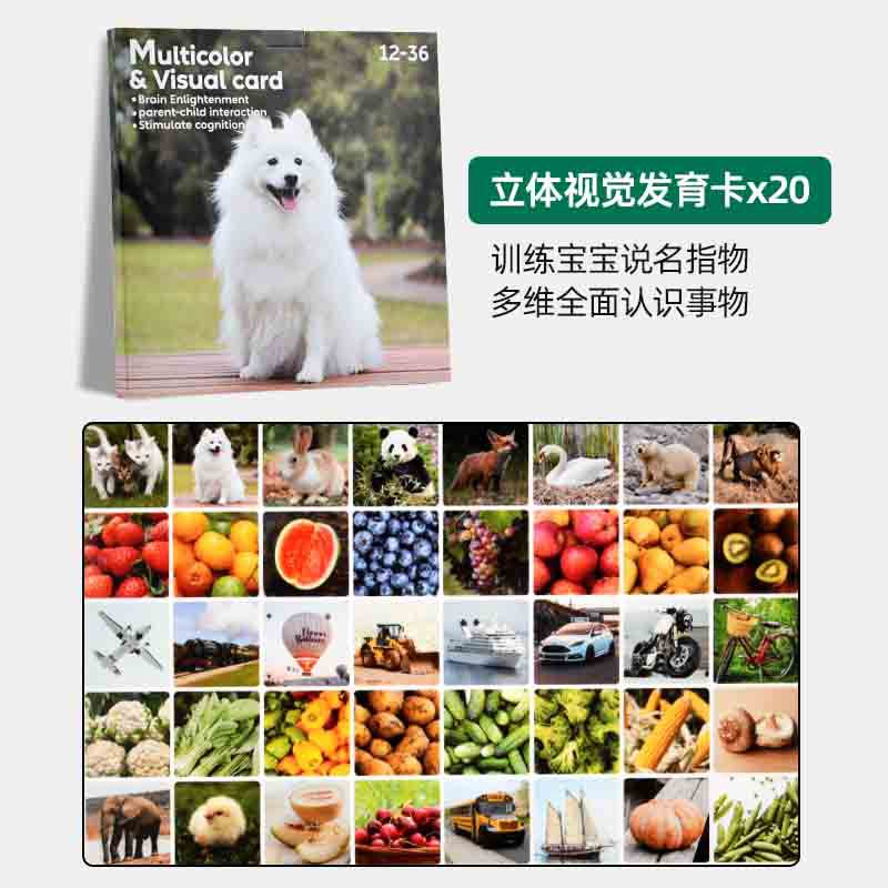 Tarjeta de aprendizaje cognitivo de palabras de alta frecuencia para niños transfronterizos y estudiantes de primaria en inglés