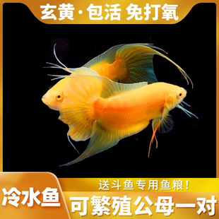 �Ї����~�S����ؔ�������ˮ��ˮ�^�pС�~���B�ͻ���Ӝؑ����~