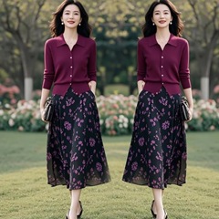 2025秋季穿搭一整套气质POLO翻领针织衫外搭碎花半身裙两件套装女