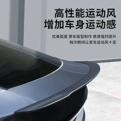 Wings and Accessories for Tesla's | Fixed wind wing