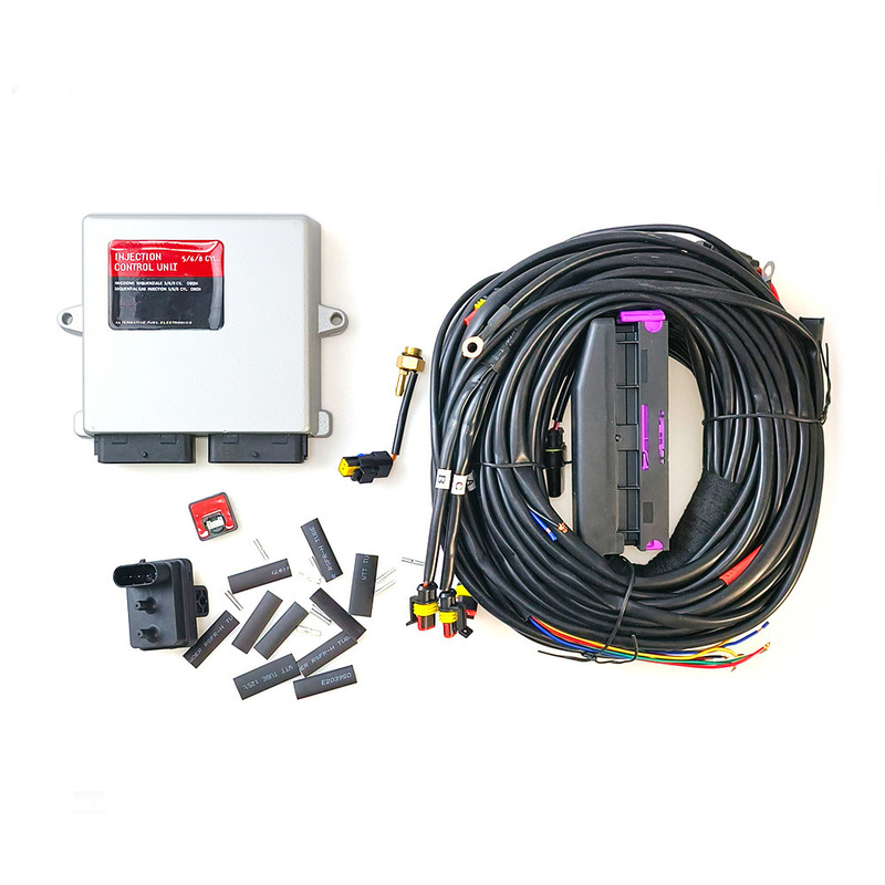 Lpg/Cng Car Oil to Gas Aeb System Disassembly Car Computer Board 4 Cylinder Ecu 4 Cyl Gas Car Accessories