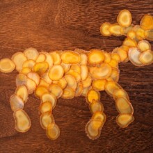 ¹�׶Y��ɢ�b¹��Ƭ�L��ɽPXȫϞƬ¹�׸߶��Ҝ����ݾ�ș����ƽ��