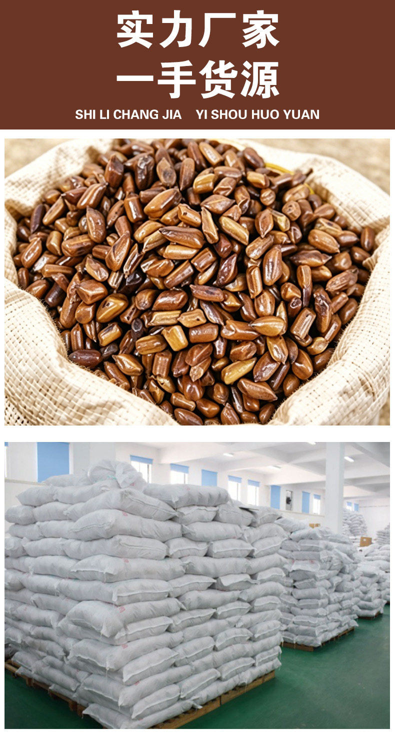 Cassia Seed (Semen Cassiae) — Roasted Jue Ming Zi Food Herb for Herbal Tea overview