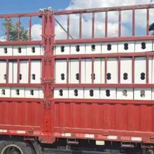 ڒʽˮͺϘ֬߷Ӳ| pӷͺ