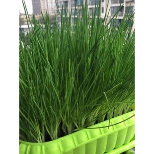 �[�N���ļ�С���[�N���̨���Լt�[�^�ļ����Ϸ���ͥ�Nֲ�߲˷N��