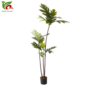 ?���W�Gֲ�������ֲ����Î����쾰�b�ɢβ���ٺ����R��ľ�Gֲ