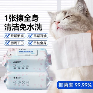 宠物湿巾眼部护理免洗加厚加大湿巾猫狗通用泪痕清洁宠物一次毛巾