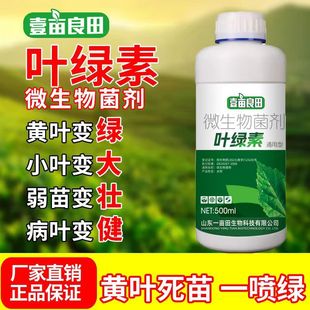 һ���G�S�~����׃�G��������ͨ���߲˻����~�G��΢��Ԫ���~���
