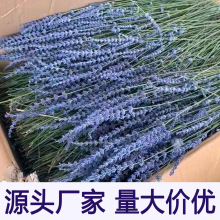 25年新货新疆伊犁薰衣草英国兰花束散装装饰真花干花批熏衣草干花