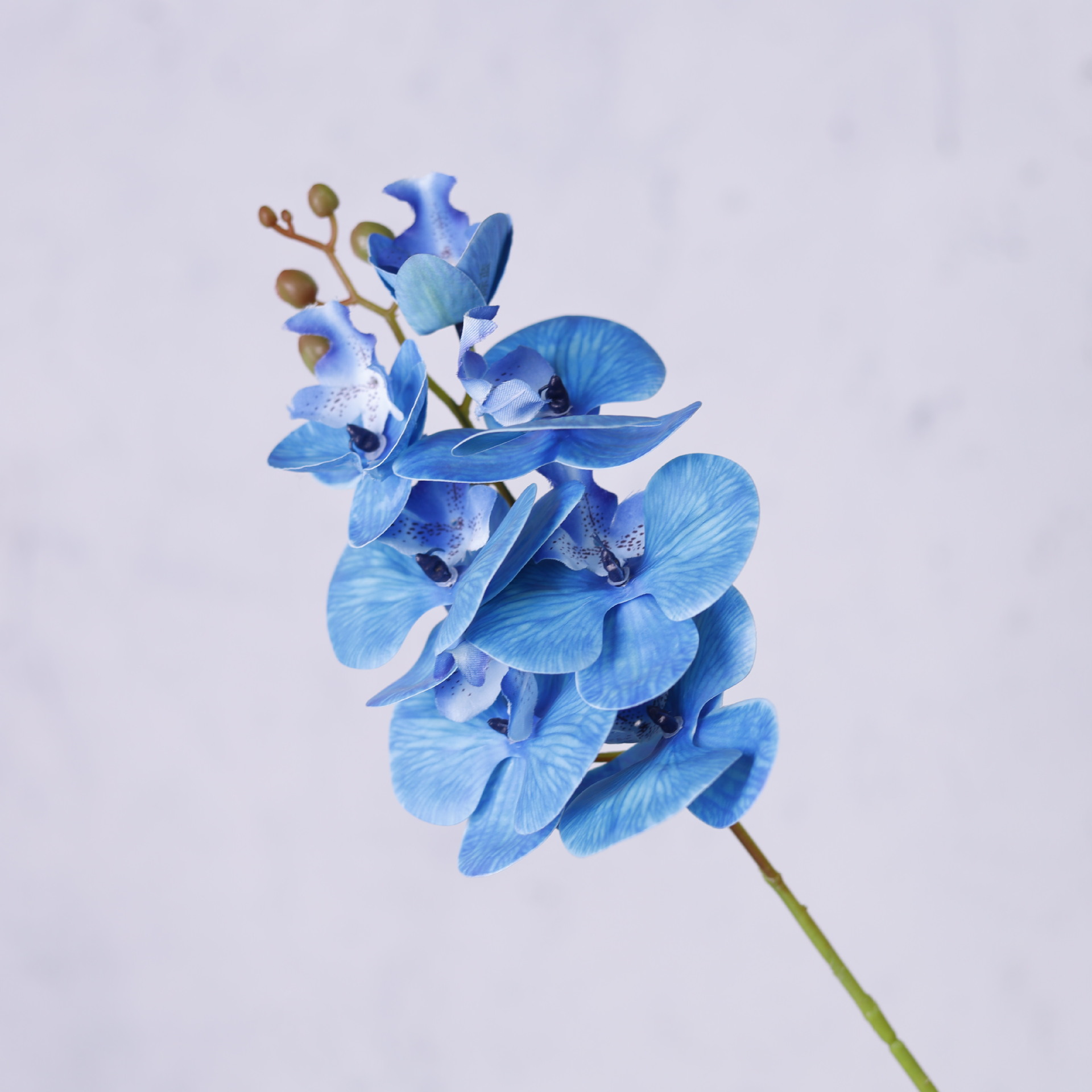 Impresión 3D de 7 cabezas de orquídeas mariposa flor de decoración de flores de alto nivel flor de nicho decoración floral decoración de sala de estar