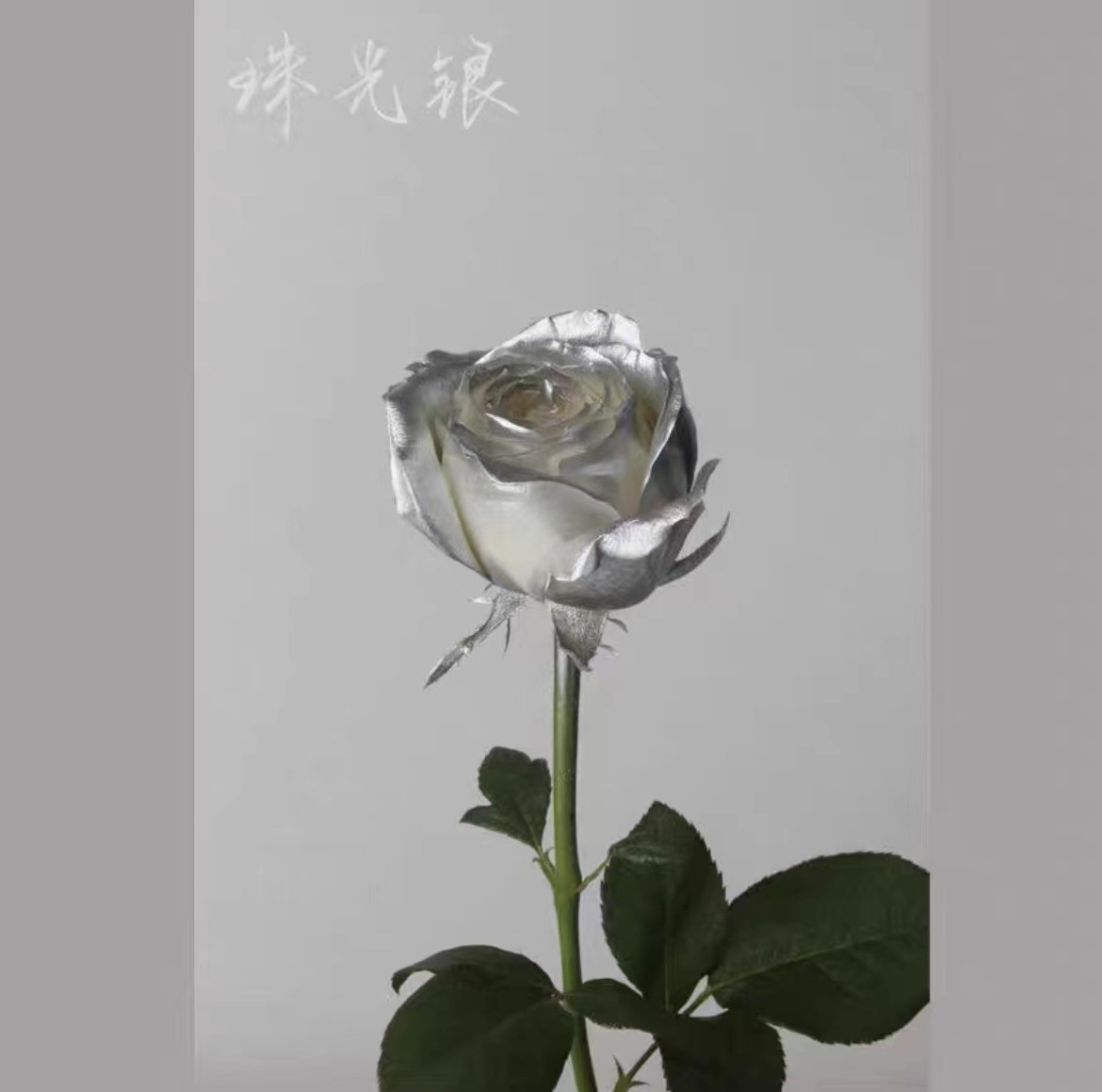 La pintura de aerosol de flores agente de pulverización de color mágico de hielo azul rosa aerosol a base de agua spray floral agente colorante 400ml en stock