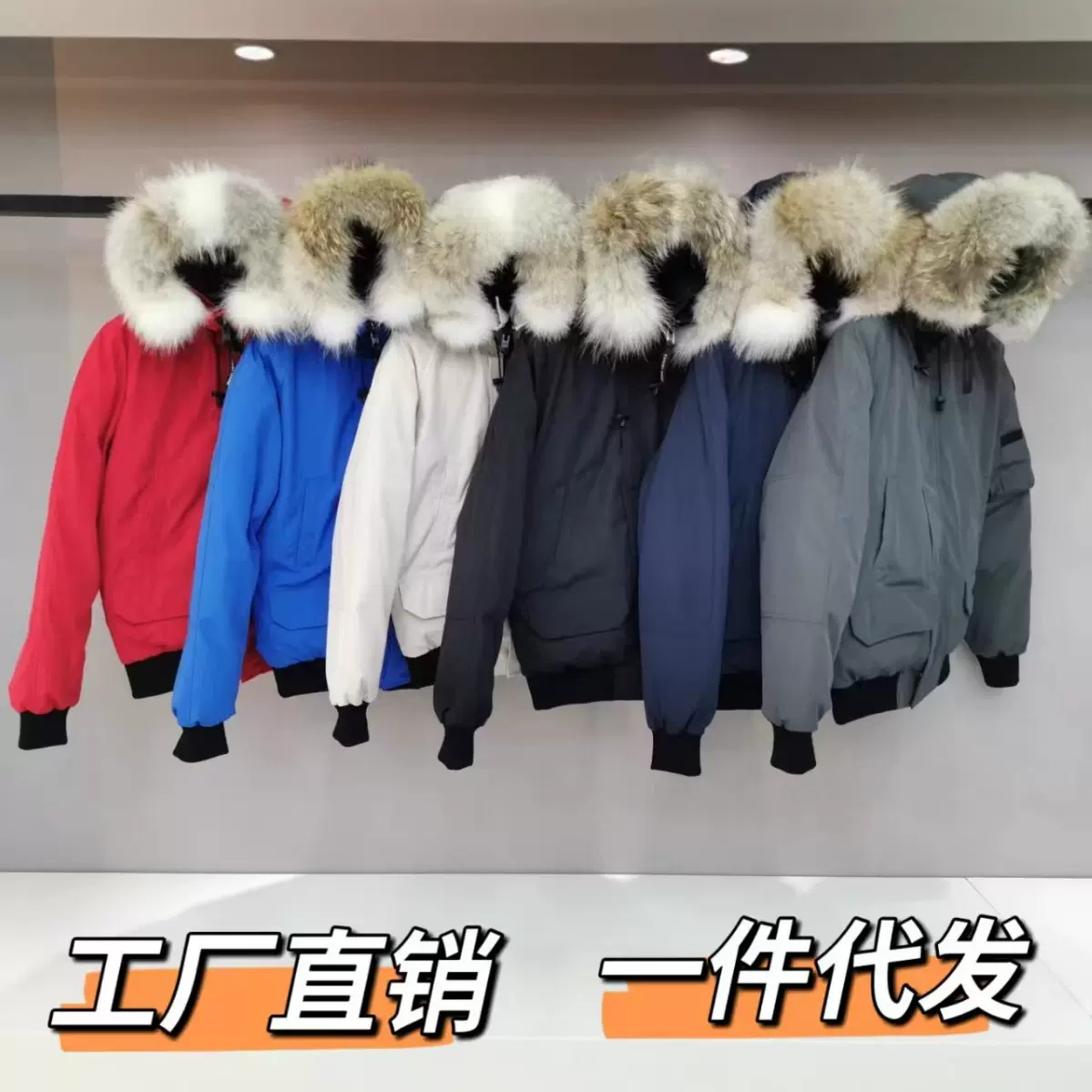 冬季大鹅羽绒服01短款飞行员夹克加拿大男女款白鸭绒保暖加厚外套
