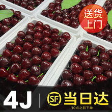 智利进口车厘子5斤新鲜水果当季整箱包邮孕妇大樱桃礼盒4j3大果