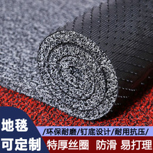PVC丁底汽车专用脚垫 丝圈除尘门垫 耐磨防滑地毯地垫 卷材多色批
