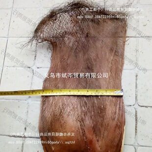 �����b���Ҭ����ë���ؙ����Ø�Ƥ��Ƭ��Ƥ�ؽz�G�}é������