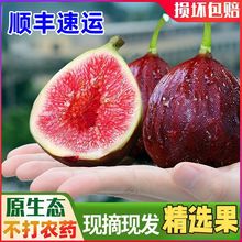 �Fժ���r�o�����r��һ����tƤ�o���������R˹�o������Ƥ�羳���l