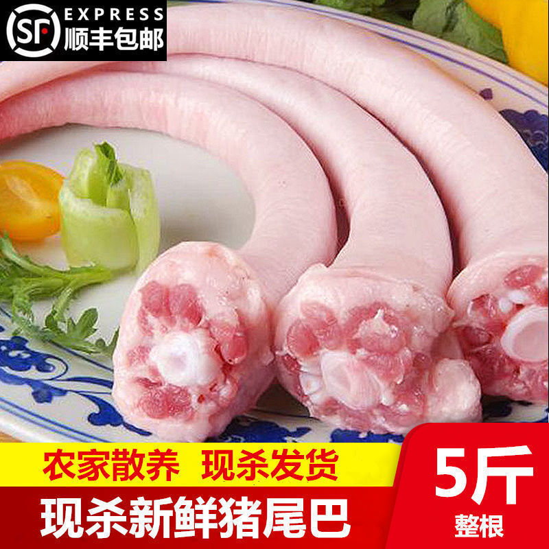 新鲜猪尾巴长尾巴散养生猪尾巴去毛整根现杀猪尾巴农家散养顺丰